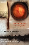 Cover: Salt on the Eye - Shearsman Books
