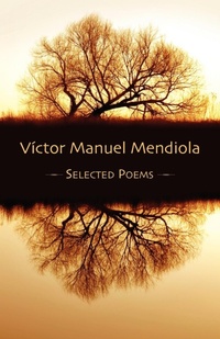 Enlarge image Cover: Selected Poems - Shearsman Books