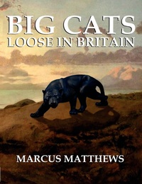Enlarge image Cover: Big Cats Loose in Britain - CFZ Press