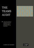 Cover: The Teams Audit - Triarchy Press Ltd