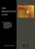 Cover: The Productivity Audit - Triarchy Press Ltd