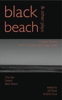 Enlarge image Cover: Black Beach - Parthian Books