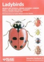 Cover: Ladybirds - Pelagic Publishing