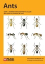 Cover: Ants - Pelagic Publishing