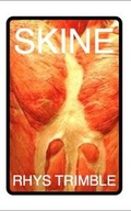 Cover: SKINE - Knives Forks and Spoons Press
