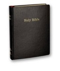 Cover: Holy Bible - Mack