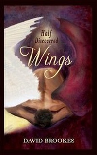 Enlarge image Cover: Half Discovered Wings - Libros International