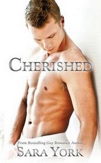 Enlarge image Cover: Cherished - Wilde City Press, LLC