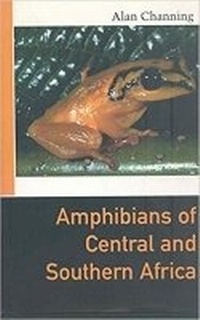 Abbildung von: Amphibians of Central and Southern Africa - Protea Boekhuis