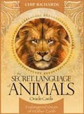 Cover: The Secret Language of Animals - Blue Angel Gallery