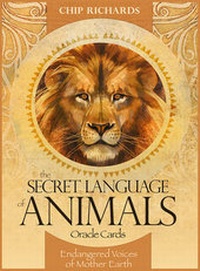 Enlarge image Cover: The Secret Language of Animals - Blue Angel Gallery