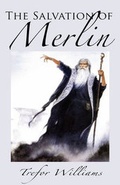 Cover: The Salvation of Merlin - Adlibbed Ltd