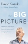 Cover: The Big Picture - Greystone Books