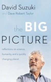 Enlarge image Cover: The Big Picture - Greystone Books