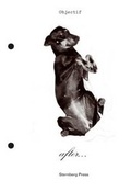 Cover: After Berkeley - Objectif Exhibitions, 2010-2011 - Sternberg Press