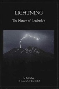 Enlarge image Cover: Lightning - Codhill Press