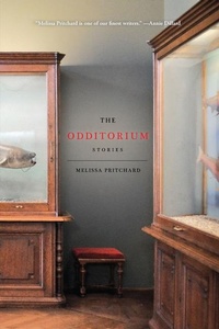 Enlarge image Cover: The Odditorium - Bellevue Literary Press