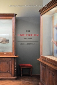 Enlarge image Cover: The Odditorium - Bellevue Literary Press
