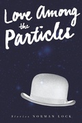 Cover: Love Among the Particles - Bellevue Literary Press