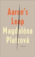 Cover: Aaron's Leap - Bellevue Literary Press
