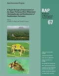 Cover: A Rapid Biological Assessment of the Upper Palumeu River Watershed (Grensgebergte and Kasikasima) of Southeastern Suriname - Conservation International,U.S.