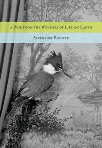 Enlarge image Cover: A Page from the Wonders of Life on Earth - Brick Books