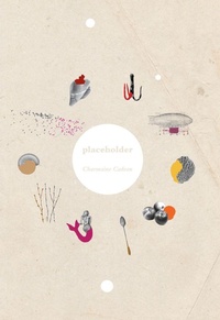 Enlarge image Cover: Placeholder - Brick Books