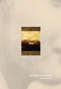 Cover: Bite Down Little Whisper - Brick Books