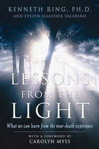 Enlarge image Cover: Lesson from the Light - Moment Point Press Inc,US