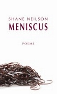 Enlarge image Cover: Meniscus - Biblioasis