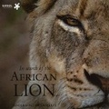 Cover: In Search of the African Lion - Sunbird Publishers Ltd