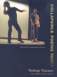 Enlarge image Cover: Collapsible Poetics Theater - Fence Magazine Inc, Division of Fence Books