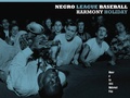 Cover: Negro League Baseball - Fence Books