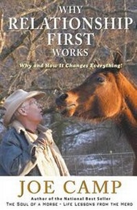 Abbildung von: Why Relationship First Works - 14 Hands Press