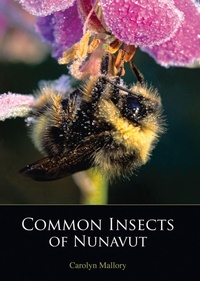 Enlarge image Cover: Common Insects of Nunavut - Inhabit Media Inc