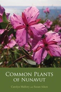 Cover: Common Plants of Nunavut - Inhabit Media Inc