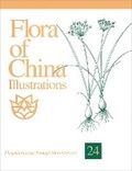Cover: Flora of China Illustrations, Volume 24 - Flagellariaceae through Marantaceae - Missouri Botanical Garden Press