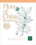 Cover: Flora of China Illustrations, Volume 12 - Hippocastanaceae through Theaceae - Missouri Botanical Garden Press