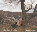 Cover: Perfectable Worlds - Photolucida