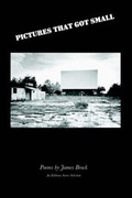 Cover: Pictures That Got Small - Wordtech Communications