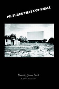 Enlarge image Cover: Pictures That Got Small - Wordtech Communications