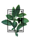 Cover: The Haiku Year - Soft Skull Press