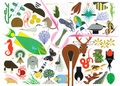 Cover: Charley Harper's Animal Kingdom - AMMO Books LLC