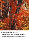 Cover: In Wildness is the Preservation of the World - AMMO Books LLC