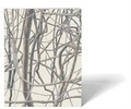 Cover: Toba Khedoori - Radius Books