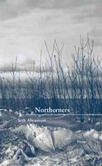 Enlarge image Cover: Monument in a Summer Hat - Western Michigan University, New Issues Press