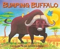 Cover: African Animal Tales: Bumping Buffalo - Hodder Children's Books