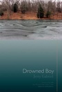 Cover: Drowned Boy - Sarabande Books, Incorporated