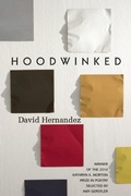 Cover: Hoodwinked - Sarabande Books, Incorporated