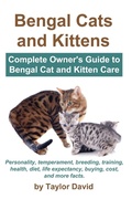 Cover: Bengal Cats and Kittens - Ubiquitous Publishing